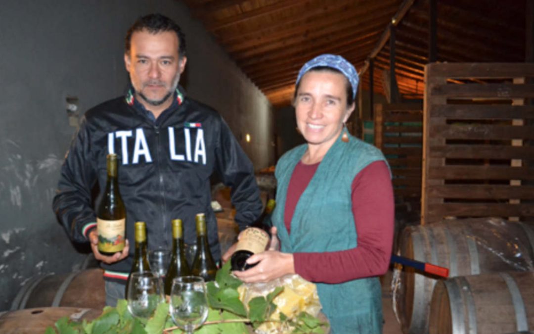 Familia Herrera Alvarado produce ancestral vino en el valle de Marga Marga